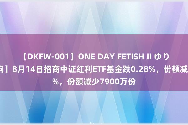 【DKFW-001】ONE DAY FETISH II ゆりあ 【ETF动向】8月14日招商中证红利ETF基金跌0.28%,份额减少7900万份