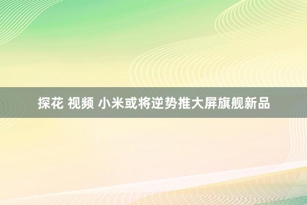 探花 视频 小米或将逆势推大屏旗舰新品