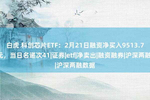 白虎 科创芯片ETF：2月21日融资净买入9513.78万元，当日名递次41|证券|etf|净卖出|融资融券|沪深两融数据
