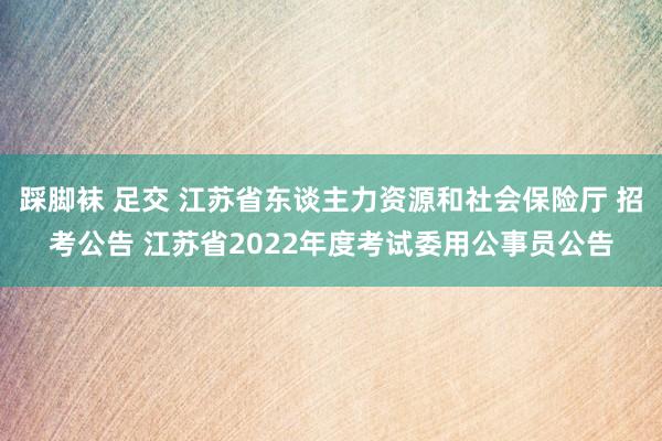 踩脚袜 足交 江苏省东谈主力资源和社会保险厅 招考公告 江苏省2022年度考试委用公事员公告