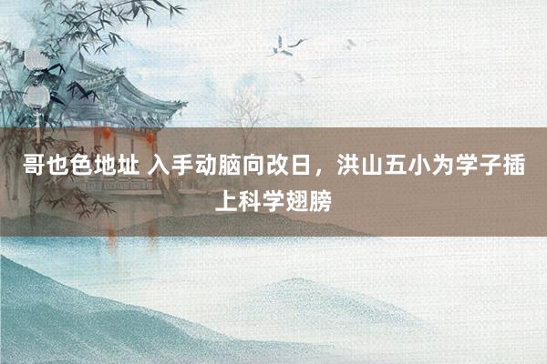 哥也色地址 入手动脑向改日，洪山五小为学子插上科学翅膀