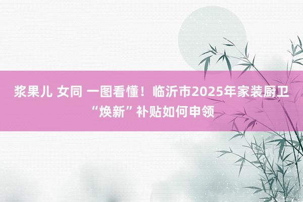 浆果儿 女同 一图看懂！临沂市2025年家装厨卫“焕新”补贴如何申领