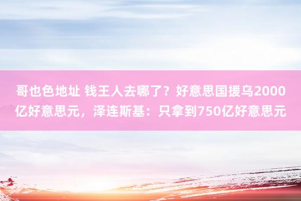 哥也色地址 钱王人去哪了？好意思国援乌2000亿好意思元，泽连斯基：只拿到750亿好意思元