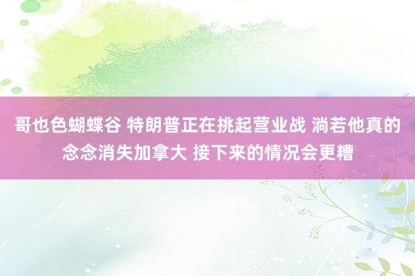 哥也色蝴蝶谷 特朗普正在挑起营业战 淌若他真的念念消失加拿大 接下来的情况会更糟
